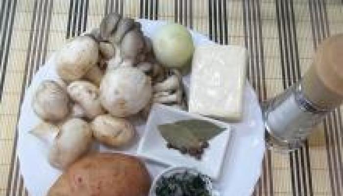 Как приготовить грибной суп из вешенок: варианты
