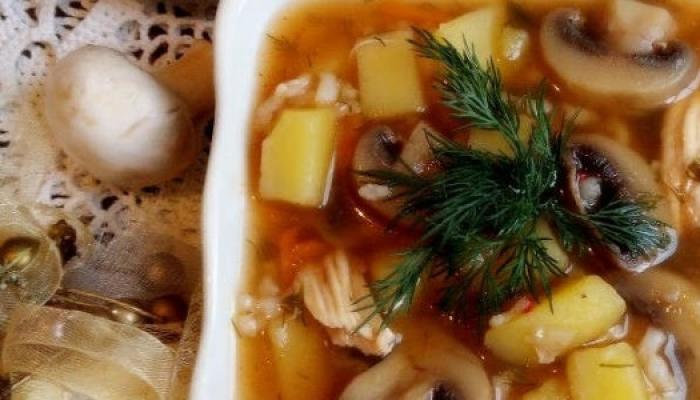 Грибной суп с вермишелью в мультиварке Ингредиенты для рецепта «Куриный суп с грибами в мультиварке»